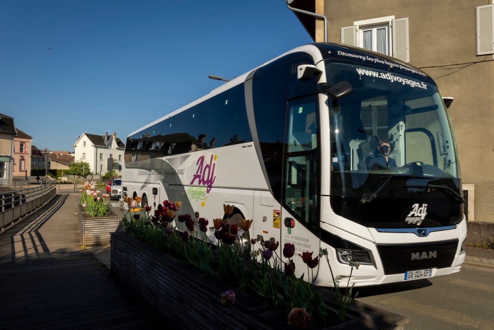 Autocar MAN ADJ Voyages traversant une ville fleurie de tulipes