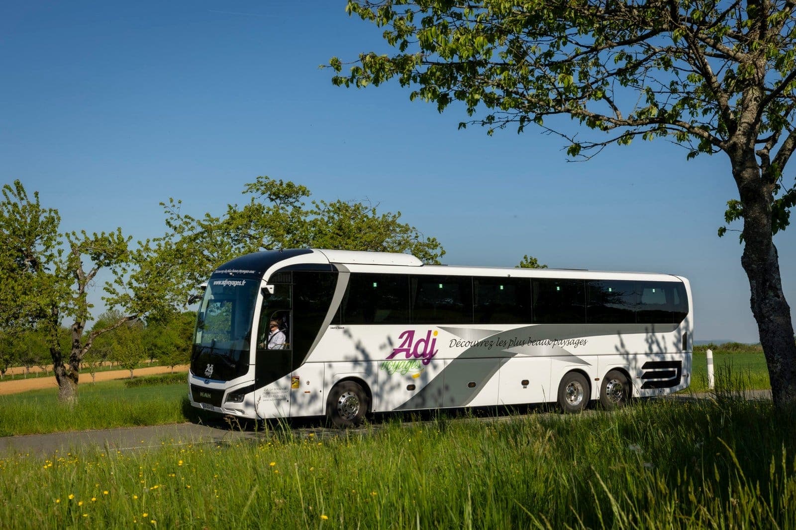 Autocar MAN ADJ Voyages longeant un verger en fleurs au printemps