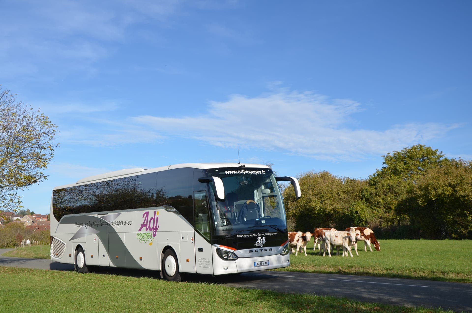 Autocar Setra 53 places d’ADJ Voyages devant une prairie